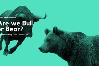 Are we Bull or Bear?