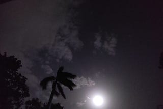 Midnight Chai and Moonlit Verses
