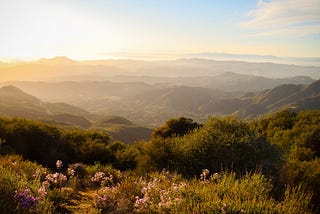 Finding Wonder in the Santa Monica Mountains