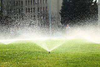 Jeffry Hill — Watering Your Garden