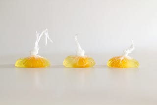 Eggs in bags