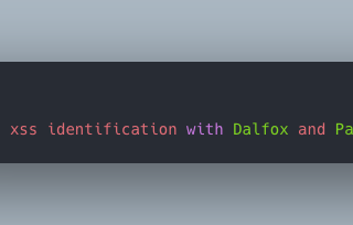 Automating xss identification with Dalfox & Paramspider