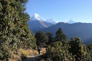 Guide Cost for Langtang Trek: What to Expect