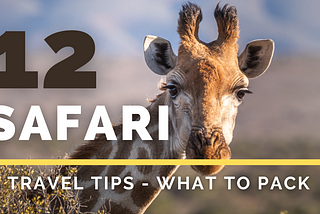 12 Travel Tips — What to pack for your Wildlife Safari