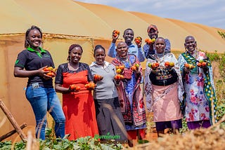How to Support Entrepreneurial Ecosystems in Agriculture