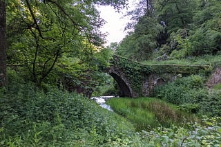 The Fairy Glade