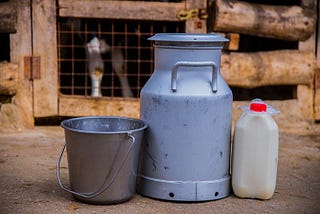 A half gallon steel pail, a gallon steel jug, and a plastic quart bottle on the ground at a dair farm