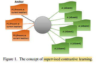 Brief Review — Murmur Identification Using Supervised Contrastive Learning