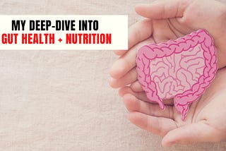 My deep dive into gut health and nutrition