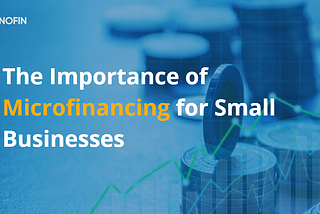 The Importance of Microfinancing for Small Businesses