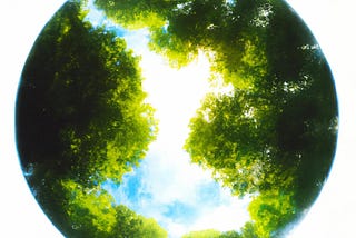 We Know Exactly What Consciousness Is — Don’t Let Anyone Tell You Otherwise