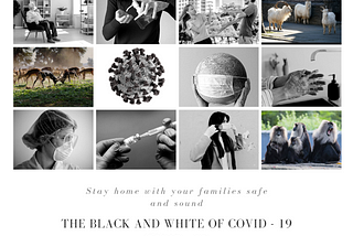 THE BLACK AND WHITE OF COVID — 19