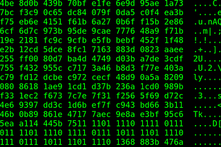 CTF Challenge Walkthrough: Modified Header