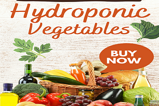 Get Fresh & Nutritious Hydroponic Vegetables Delivered to Your Doorstep!