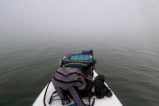 I dropped my phone in a lake a few days ago
