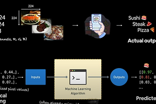 PyTorch Ustalık Serisi — Bölüm 3