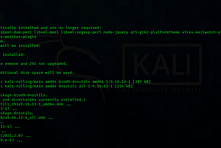 How to install dig on Kali Linux