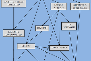 Fitness, Part 4 — Tools for the Sedentary Person