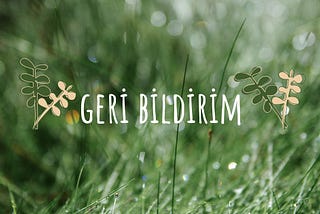 Geri Bildirim