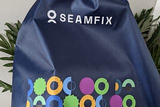 Success Story: Seamfix