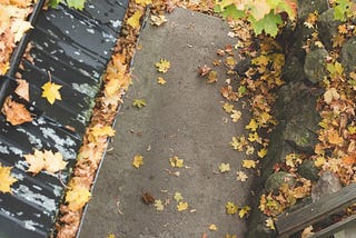Leaf Damage and Your Roof