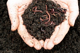 Vermicomposting-