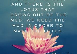 No mud no lotus…