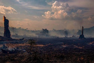 Amazônia emite mais gás carbônico do que absorve