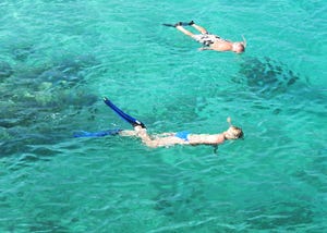 Snorkeling Tips for Beginners