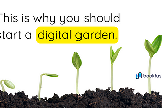 What a Digital Garden Can Teach You About Life