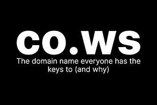 “co.ws: the domain name everyone has the keys to (and why)”