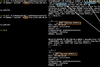 Use tcpdump to Monitor HTTP Request and Response Headers on CentOS