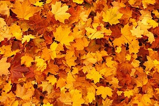 September