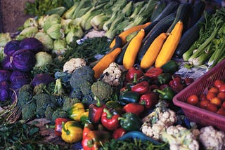 Agroécologie : nourrir le monde durablement, c’est possible !