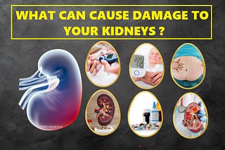 What can cause damage to your kidneys?