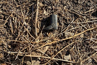 walking meditation siting of tiny boot on hiking trail