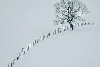 How To Cope With Grief In Our Later Years