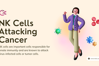 NK Cells Attacking Cancer