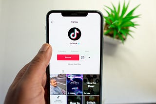 TikTok for Tour Operators: A One-Month Experiment