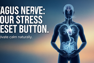 The Most Powerful Anti-Stress Tool You’ve Never Heard Of