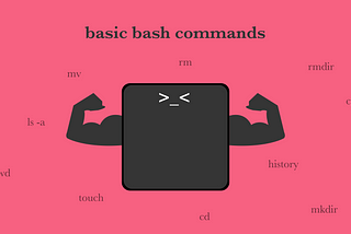 Basic Bash Commands