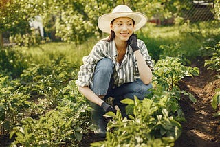 9 Cheat Codes to Optimal Health Approved by Experts to Boost Longevity to Max Daily