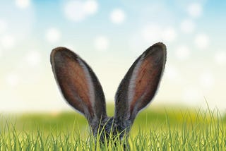 Bunny ears peeking up in a field of green grass