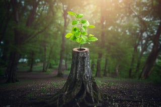 Resilience
