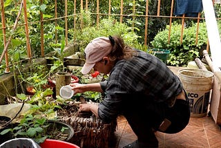 The Myth of Self-Sustainability: What I’m Growing to Cut My Grocery Costs