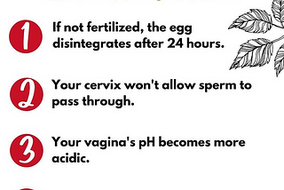 4 Reasons Pregnancy Isn’t Possible After Confirmed Ovulation