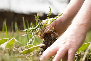 Mental health is just like pulling weeds.