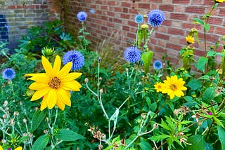 Enjoying Every Flower, Leaf and Snowflake the Seasons Have to Offer