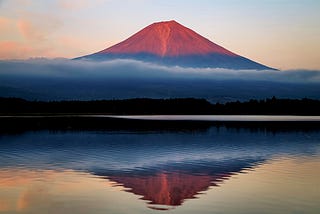 2020 Reflection and Lessons