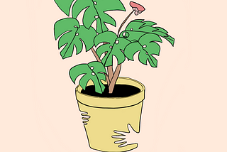 Millennial Houseplant Co-Parenting: A Love Story